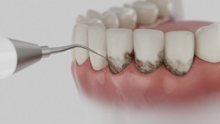 Reliable Dental contractor in Englewood, TN by Dentist Open Now